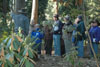 group-big-leaf-3