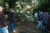 group-at-macabeanum-plant