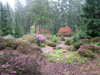 garden-scene-1
