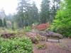 garden-scene-2