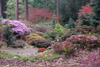 garden-scene-1
