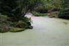 pond-4