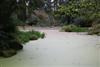 pond-5